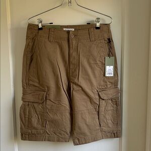 Goodfellow & Co Men's Brown Cargo Shorts